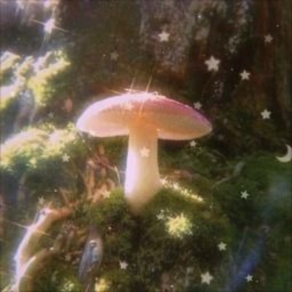 Meet your Posher, Arlo